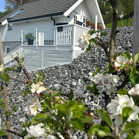 Fjord Road Apartment Hjelmeland Bagian luar foto