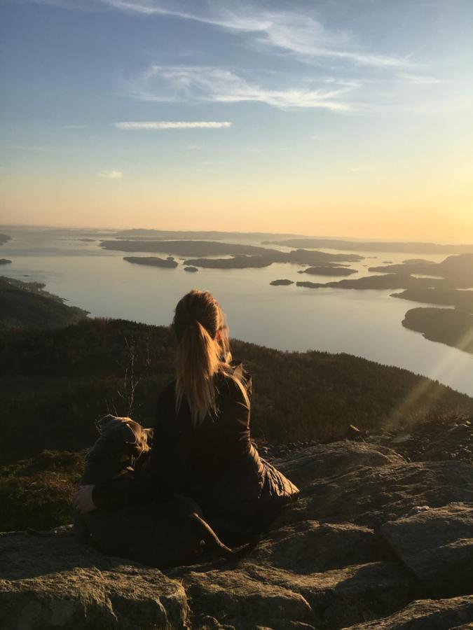 Fjord Road Apartment Hjelmeland Bagian luar foto